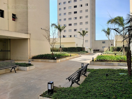 Imagem 23 de 30 de Apartamento Para Venda, 2 Dormitórios, Piqueri - São Paulo - 2538