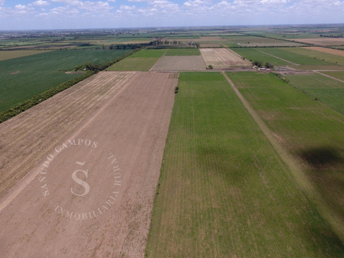 Campo Agrícola Suelo 1. Dto. Castellanos, Santa Fe.