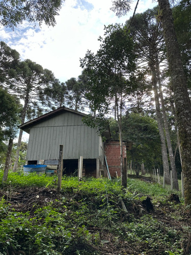 Paraíso À Venda Sítio Com Nascentes, Córrego E Natureza Intocada Em Bocaiuva Do Sul - Pr - 4 Hec
