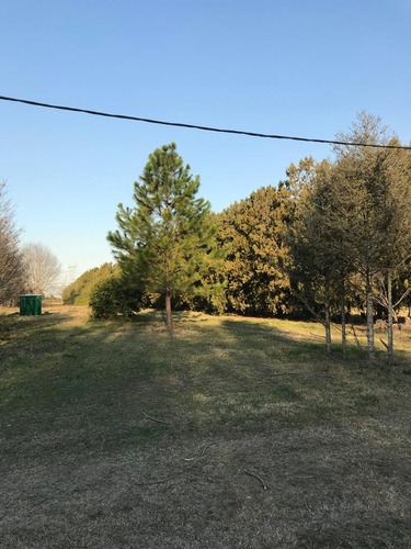 Terreno En Estancia La Catalina Roldán