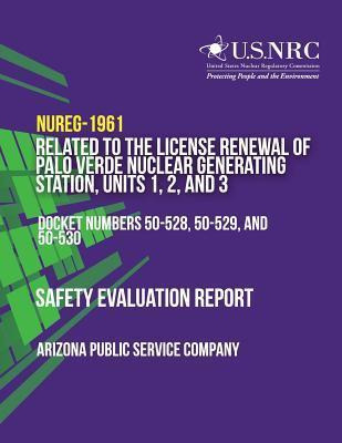 Libro Safety Evaluation Report Related To The License Ren...