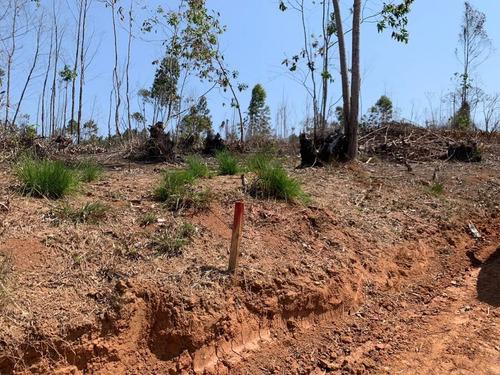 Imagem 5 de 10 de Jl- terreno Para Casa Pre Moldada
