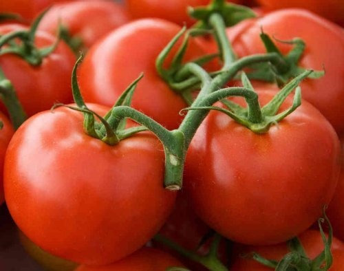 Arkansas Traveler Heirloom Tomato Seeds- Más De 50 Semillas