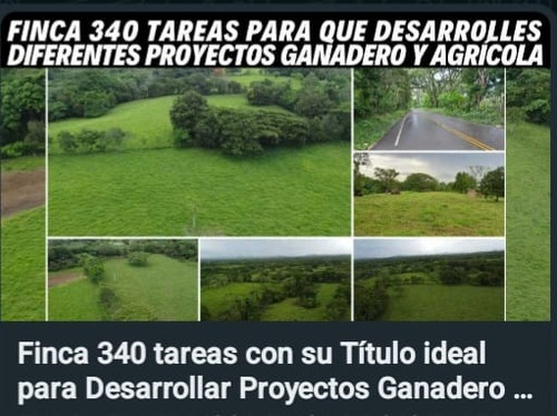 Se Vende Finca Ganadera En Monte Plata 