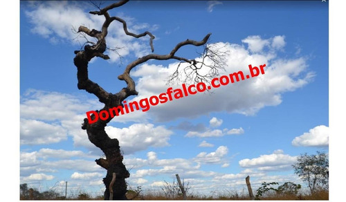 Imagem 5 de 12 de Venda - Fazenda - Zona Rural - Bom Jesus - Pi - D0175