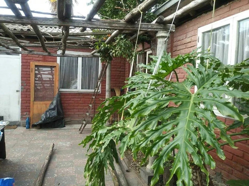 Imagen 3 de 12 de Se Vende Terreno Comercial Quinta Tilcoco