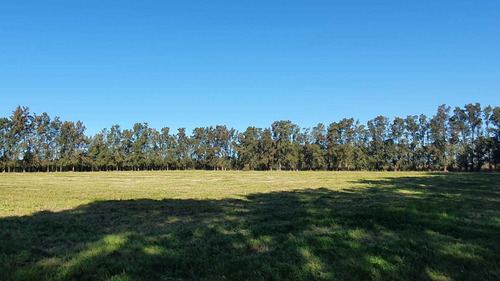 Imagen 3 de 13 de Venta Chacra 6,5 Hectareas Sobre Luis Batlle Berres