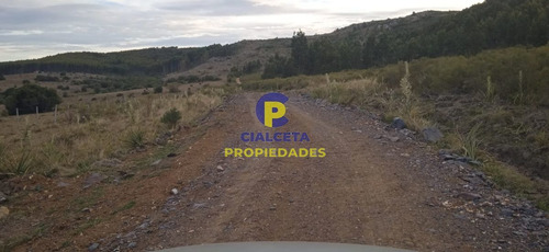 Imagen 9 de 12 de 5 Hectáreas, Entrega 8.000 Y El Saldo En Cuotas De 593 U$s
