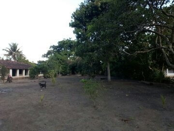 Imagem 2 de 14 de Chácara Br 324 15km De Feira De Santana Próxi Posto São Luis