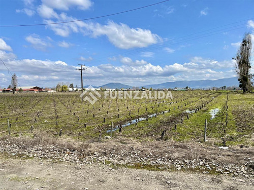Sitio En Venta En San Javier