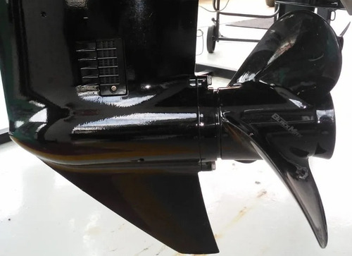 Motor Mercury 50 Hp Mh3 Cilindros (manual) Ñ Yamaha Envirude
