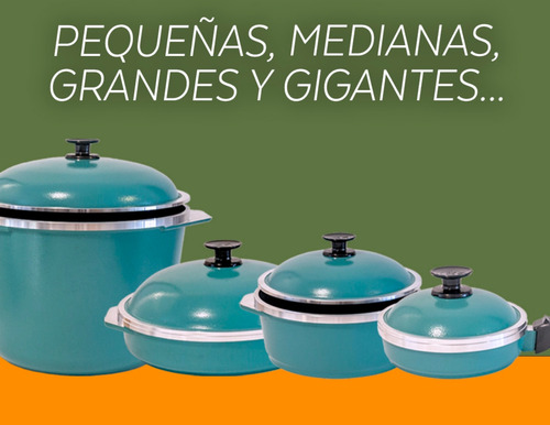 Sarten Olla 28 Cm Tapa Doña Tina Con Antiadherente Cod. 3002 Marrón