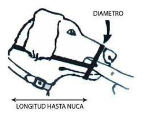 Imagen 3 de 5 de Trixie Arnés Bozal Collar Trainer S Anti Tirón Educa Perro