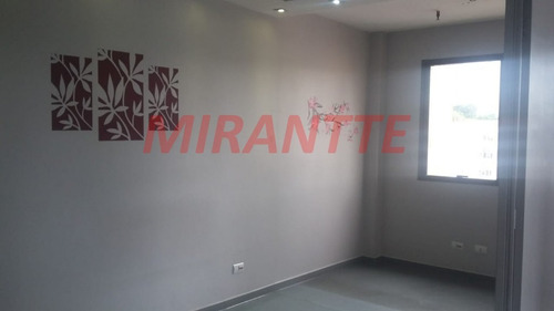Imagem 8 de 8 de Comercial Em Santana - São Paulo, Sp - 311485