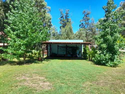 Imagen 4 de 14 de Alquiler En Bella Vista-pasion Celeste