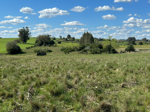 Campo De 26 Hectáreas En Solís Codigo 2741-v
