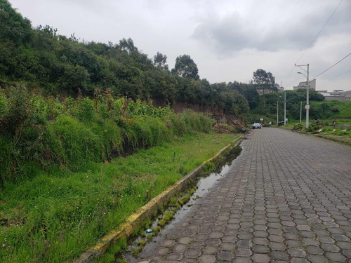 Lotes De 200m2. En Urbanización Tréboles Del Sur.