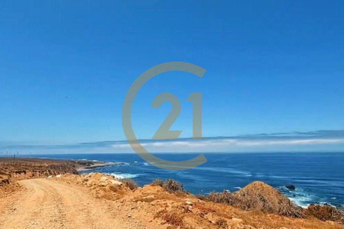 Hermosa Parcela Entre Tongoy Y Los Vilos.