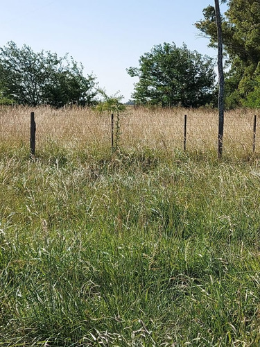 Imagen 8 de 17 de Campo En Venta En Pta Indio