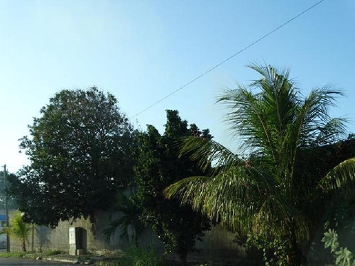 Terreno En Venta O Renta En Esquina Mérida Yucatan Colonia Maya