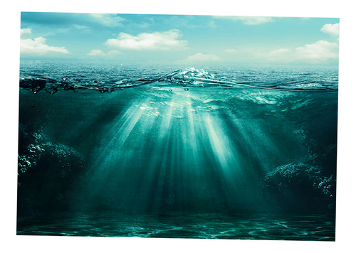 Cartel De Paisaje De Acuario 76x46cm