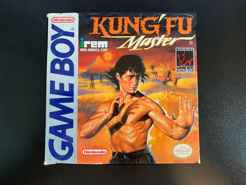 Kung Fu Master Game Boy