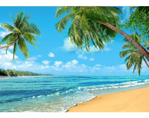 ~? 10x8ft Verano Tropical Hawaii Palm Tree Or Beach Photogra