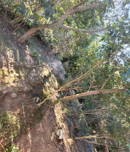 Sitio Em Mairinque /(chácara) Vendo Ou Faço Rolo