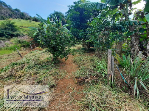 Casa Em Maravilha - Paty Do Alferes - 3248