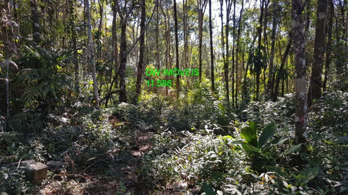 Imagem 4 de 19 de Juquitiba/terreno Com Mata E Nascente. - 05000 - 68089597