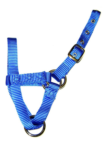 Hamilton Alpaca Halter Hebilla Ajustable Para Cabeza Azul