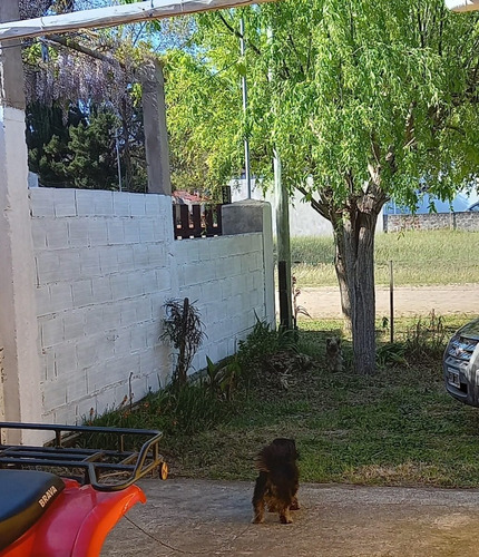 Imagen 8 de 9 de Venta Casa En Las Toninas- Permuta Depto San Miguel