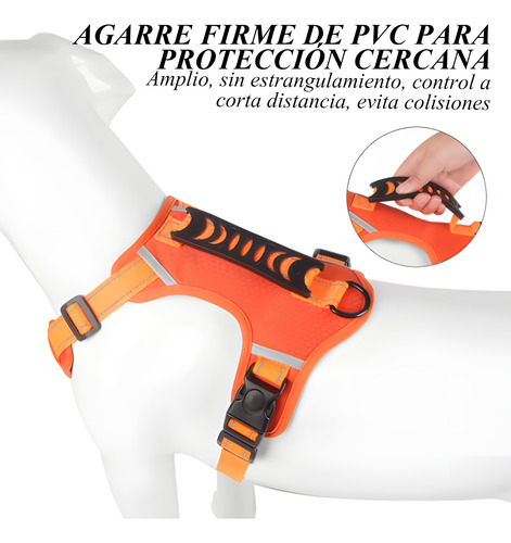 Pechera Arnés Para Perro Gato Con Correa Reflectante Cómodo