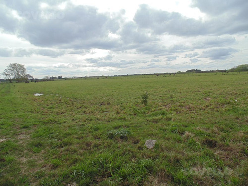 Campo - Carmelo