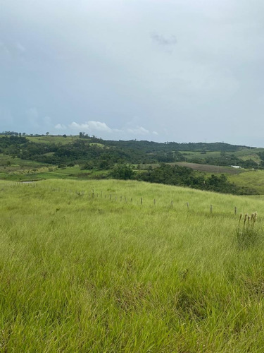 Imagem 9 de 18 de G12* Terreno Com Vista 360° Graus