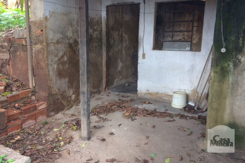 Imagem 3 de 6 de Lote À Venda No Santa Efigênia - Código 220068 - 220068