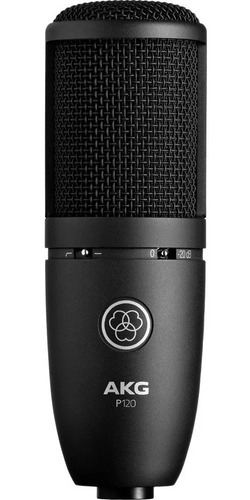 Micrófono De Condensador Para Estudio Akg Perception P120