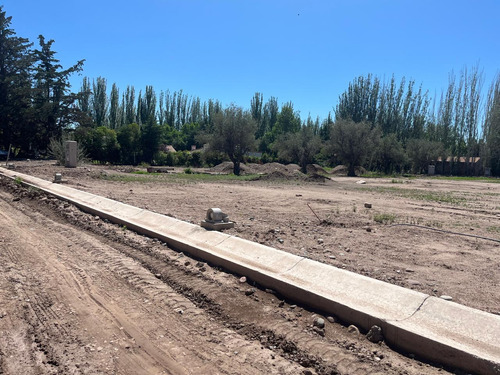 Terreno En Venta En Distrito Larrea