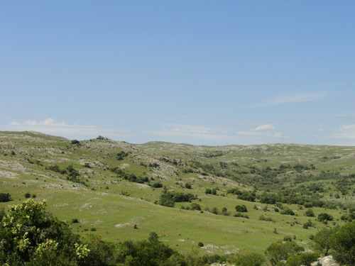Campo En Venta En La Coronilla