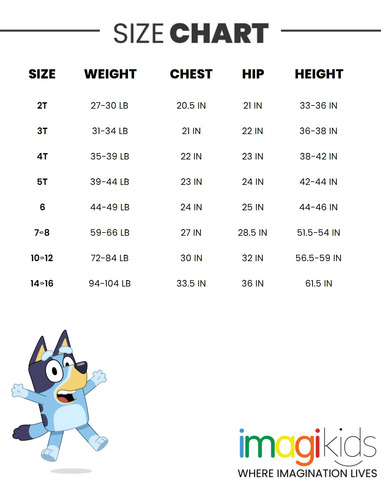 Set De Ropa Bluey Bingo Para Niños Pequeños, Camisa, Pantalo