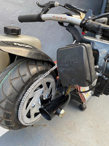 Go-ped Gsr29 Cruiser