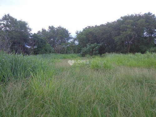 Imagem 2 de 3 de Grande Área Totalmente Plana Com 5.121m², Pronta Para Construir, À Venda, Por Apenas R$ 750.000,00 - Santa Luzia - São Gonçalo/rj - Te3702