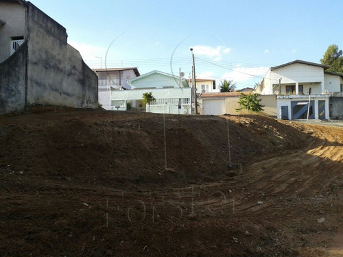 Imagem 7 de 9 de Terreno Para Venda - Te00290 - 4382980