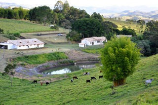 Oportunidade - Fazenda - 1104