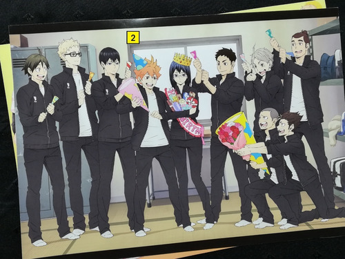 Posters A3 29x42cm Anime Haikyuu!! #1 / Niponmania