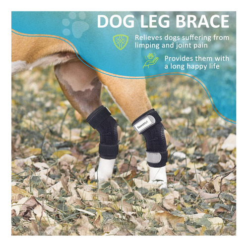 Bawektrl Soporte Para Patas De Perro Para Patas Traseras, De