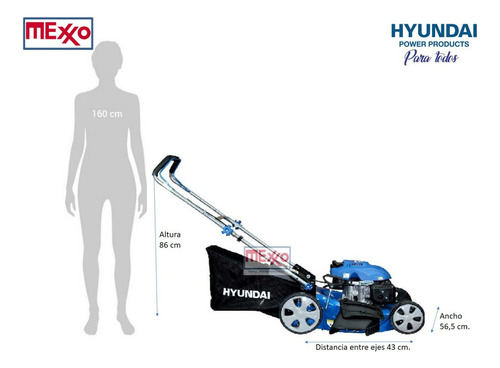 Cortacésped Hyundai 18p De Corte C/recolector 5 Hp Gasolina