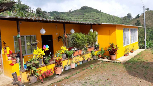 Vendo Finca De 7 Hectáreas Corregimiento El Español Santa Rosa