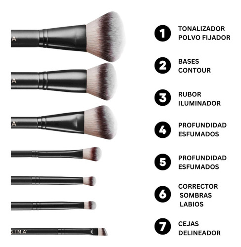 Set Brochas Pinceles Regina R7 Maquillaje Crueltyfree