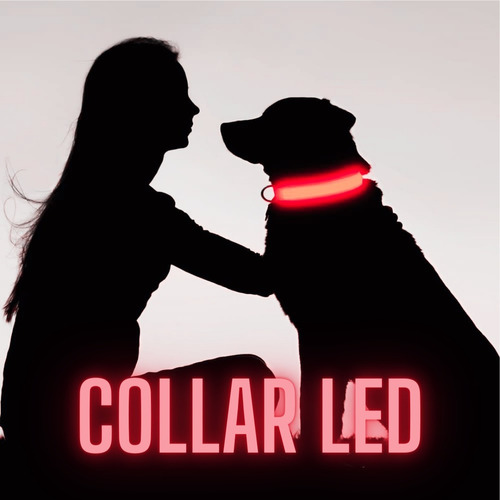 Collares Led Luminosos Para Mascotas Perros Y Gatos